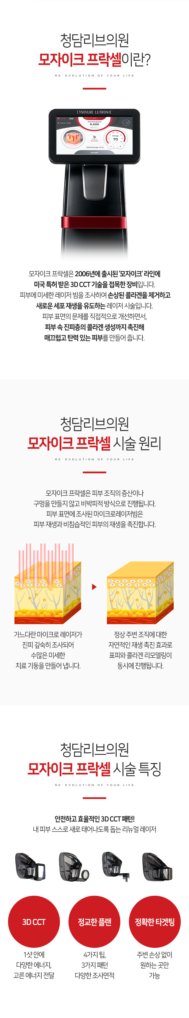 ������ũ ������